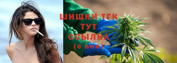 СК Струнино
