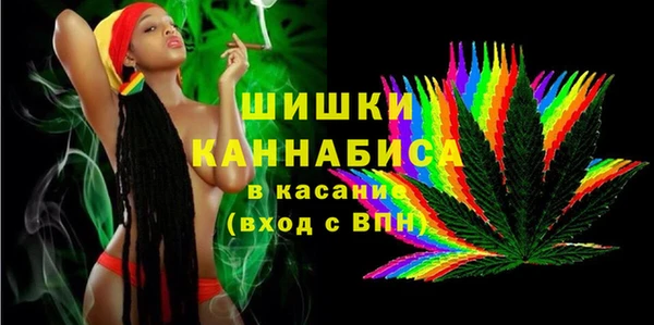 шишки Волоколамск