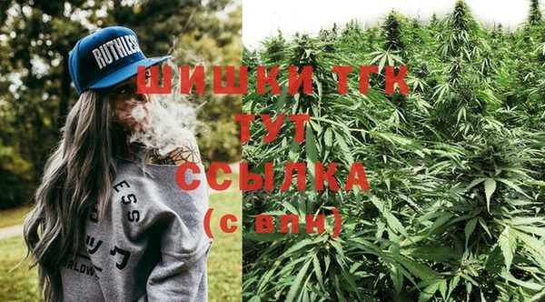 шишки Волоколамск