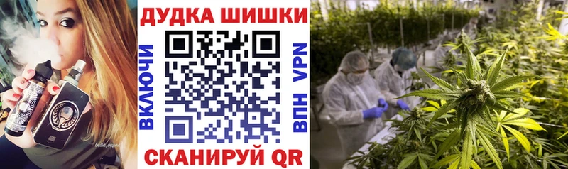 купить закладку  Карачев  МАРИХУАНА план 